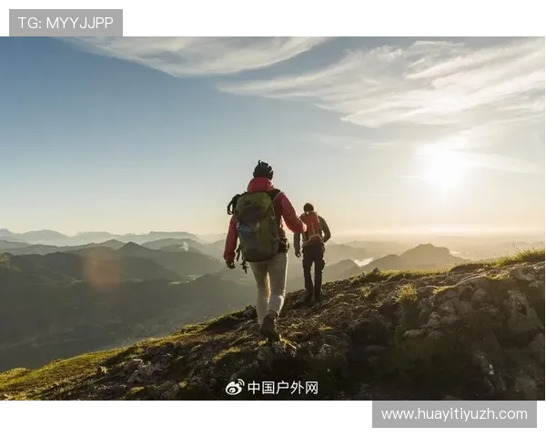 奇异果体育网址在体育行业数字化转型中的关键作用与发展前景